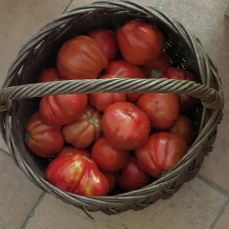 Ferienhaus Artina 2 Lovište