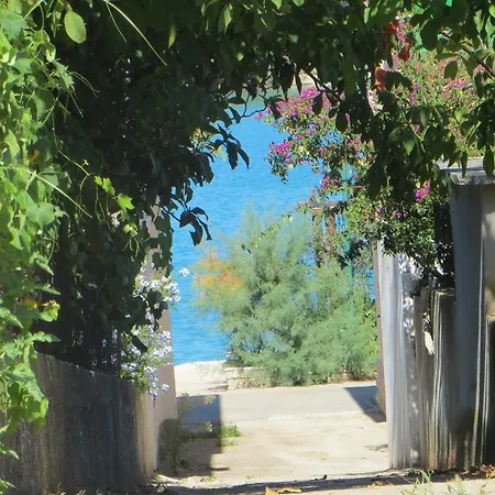 Artina 2 Lovište