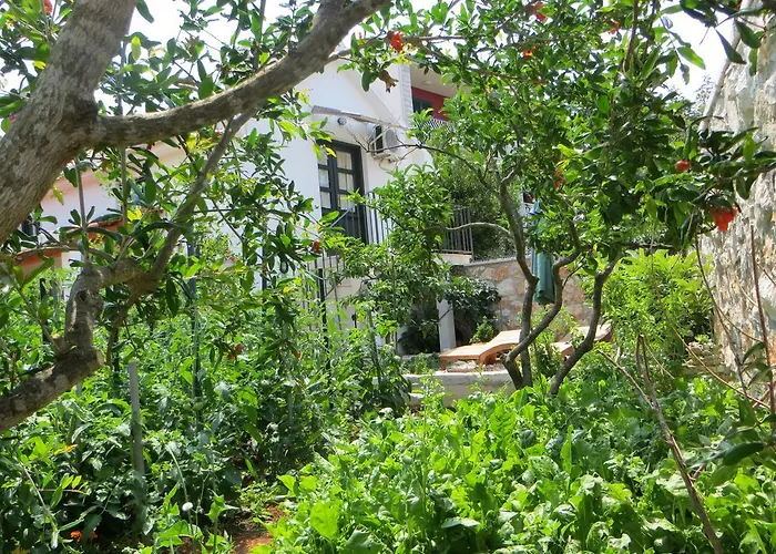 בית נופש Artina 2