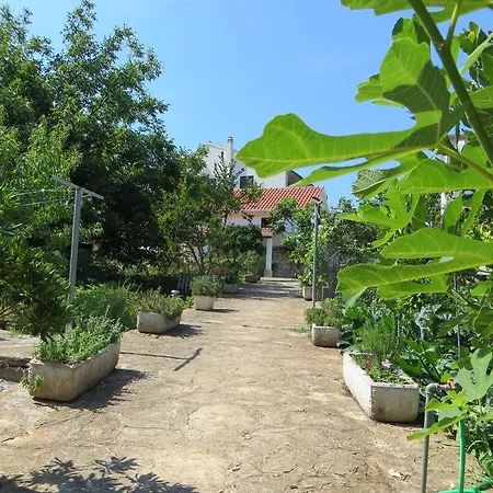 Artina 2 Ловиште