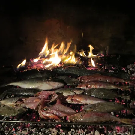 Artina 2 * Ловиште