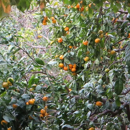 Artina 2 Дом отдыха *