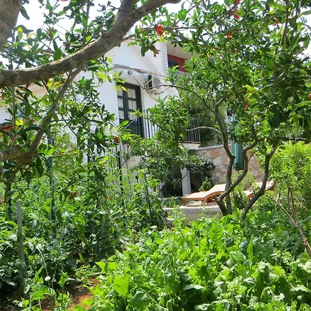 Semesterbostad Artina 2