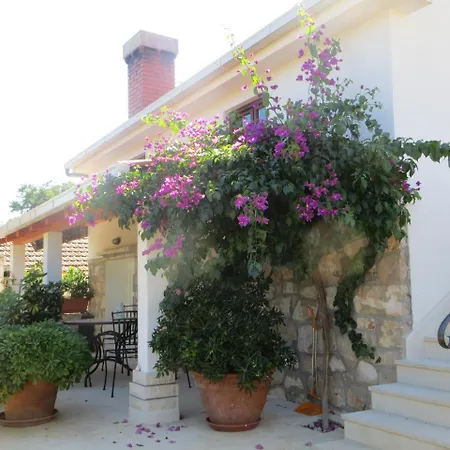 Artina 2 * Ловиште