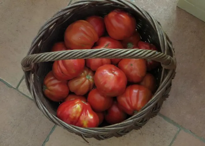 بيت للعطل Artina 2 Lovište