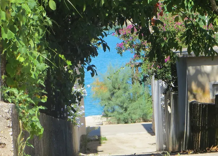 Artina 2 Lovište